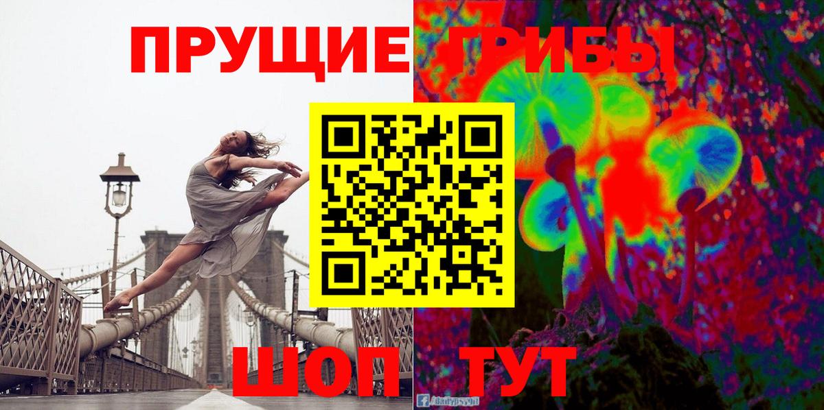 Псилоцибиновые грибы Magic Shrooms  Вход с VPN  купить  цена  Чернушка  Галлюциногенные грибы прущие грибы 